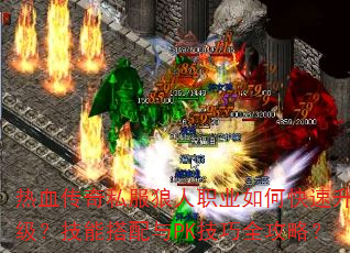 Ѫ˽ְҵοܴPKȫԣ