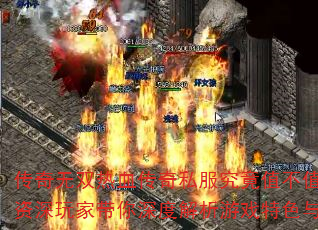 ˫Ѫ˽ֵֵ֣ҴȽϷɫʵս