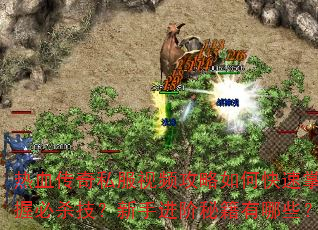 Ѫ˽ƵοձɱֽؼЩ