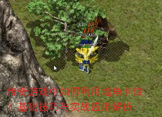 ϷǽǿλʵսӦý