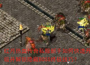 Ѫ˽οBOSSռɣ