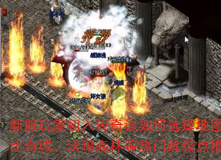 ·ҳ봫ѡͼǡɭֵƼ