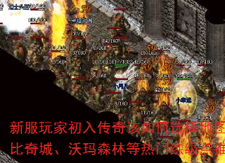 ·ҳ봫ѡͼǡɭֵƼ