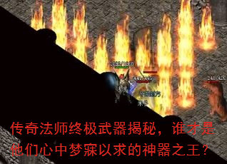 淨ʦռأ˭֮