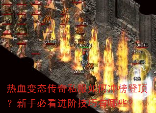 Ѫ̬˽γǶֱؿ׼Щ