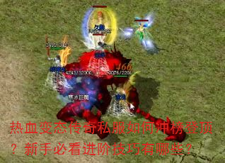 Ѫ̬˽γǶֱؿ׼Щ