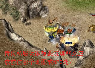 ˽ҪϴӦǰĸͼNPC