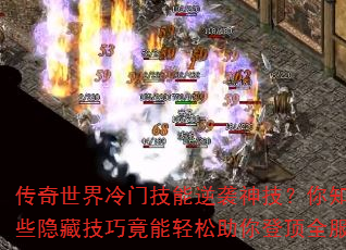 żϮ񼼣֪ЩؼɾǶȫ