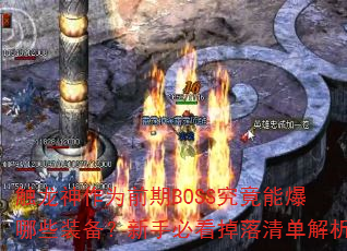 ΪǰBOSSܱЩװֱؿ嵥