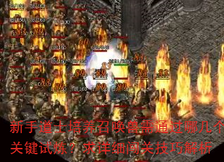 ֵʿٻͨļؼϸؼɽ