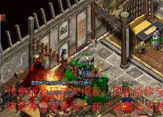 л淨أŶЭԴϷ飿ֱؿָֽϣ