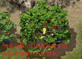 ˽αȶԴЧʣ
