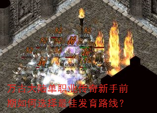 Ŵ½ְҵǰѡѷ·ߣ