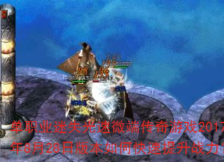 ְҵʧ΢˴Ϸ2017828հ汾οս