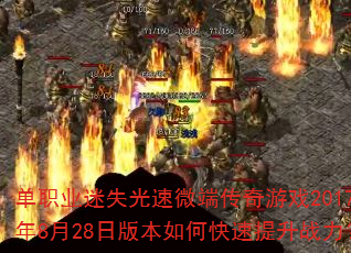ְҵʧ΢˴Ϸ2017828հ汾οս
