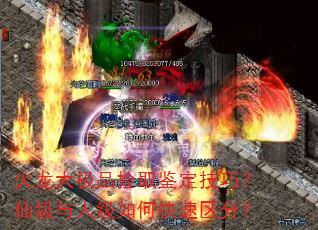 Ʒȡɣɼ˼ο֣