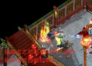 ˽֮οBOSS