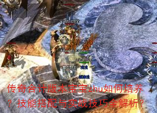 ϼư汾zhuܴʵսȫ
