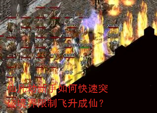 ɷοͻƾƷɣ