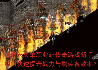 δ뵥ְҵsfϷοսˢװЧʣ