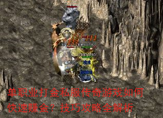ְҵ˽Ϸο׬𣿼ɹȫ