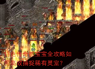 ɫץȫθЧ׽ϡ裿