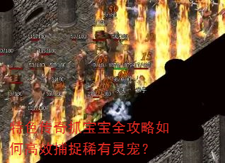 ɫץȫθЧ׽ϡ裿