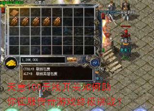 100߿Ϸռս