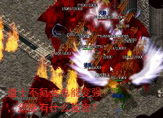 ʿ봽Ҳܱǿʲôܣ