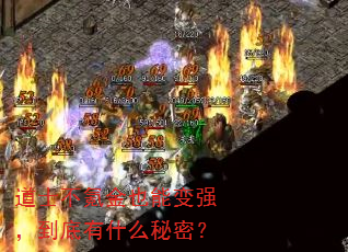 ʿ봽Ҳܱǿʲôܣ