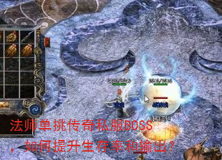 ʦ˽BOSSʺ