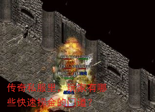 ˽Щ̽ŵ
