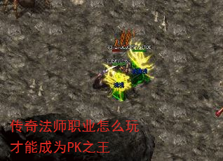 淨ʦְҵôܳΪPK֮
