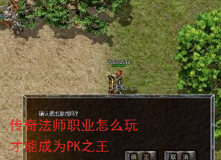 淨ʦְҵôܳΪPK֮