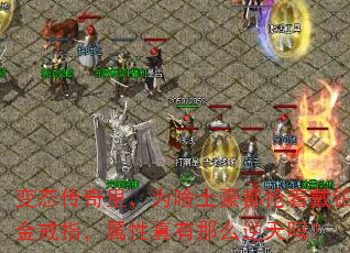 ̬ΪɶŴָô