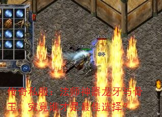 ˽ʦ񣬾˭ѡ