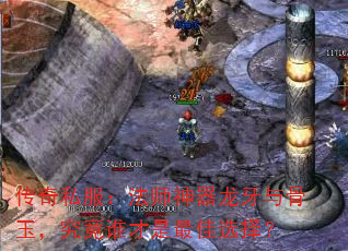 ˽ʦ񣬾˭ѡ