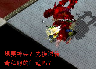 Ҫװ͸˽ŵ