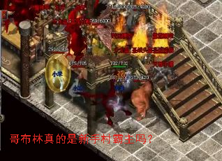 粼ִ