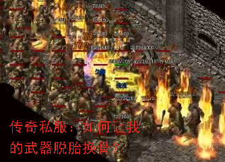 ˽ҵ̥ǣ