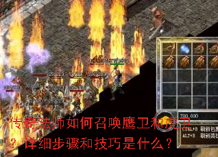 淨ʦٻӥͻϸͼʲô