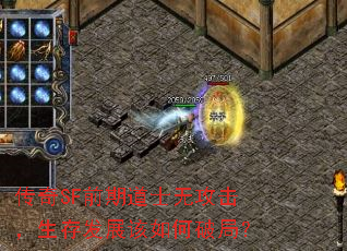 SFǰڵʿ޹淢չƾ֣