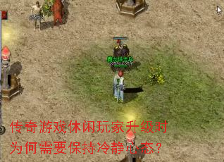 ϷʱΪҪ侲̬