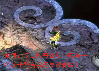 ڸŴŶнһսʿʵָЧս