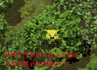 ڴսԻձʤԼɣ