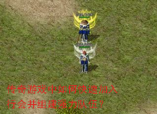 ϷοټлᲢ齨ǿ飿
