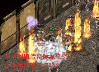 ôħˢȡ飿