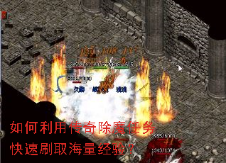 ôħˢȡ飿