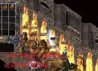 ��ѩ����������ο�������ս���ȼ���