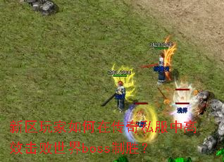 �����������ڴ���˽���и�Ч��������boss��ʤ��